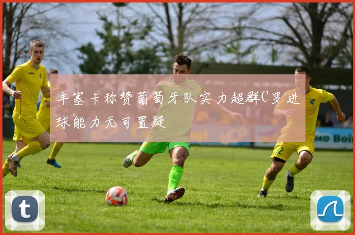 丰塞卡称赞葡萄牙队实力超群C罗进球能力无可置疑